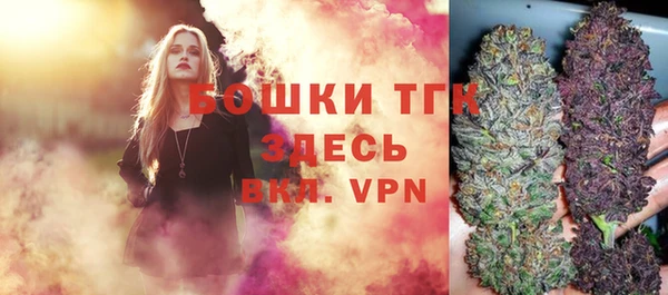 прущий лед Верея